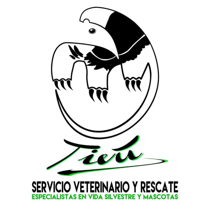 Logo-12